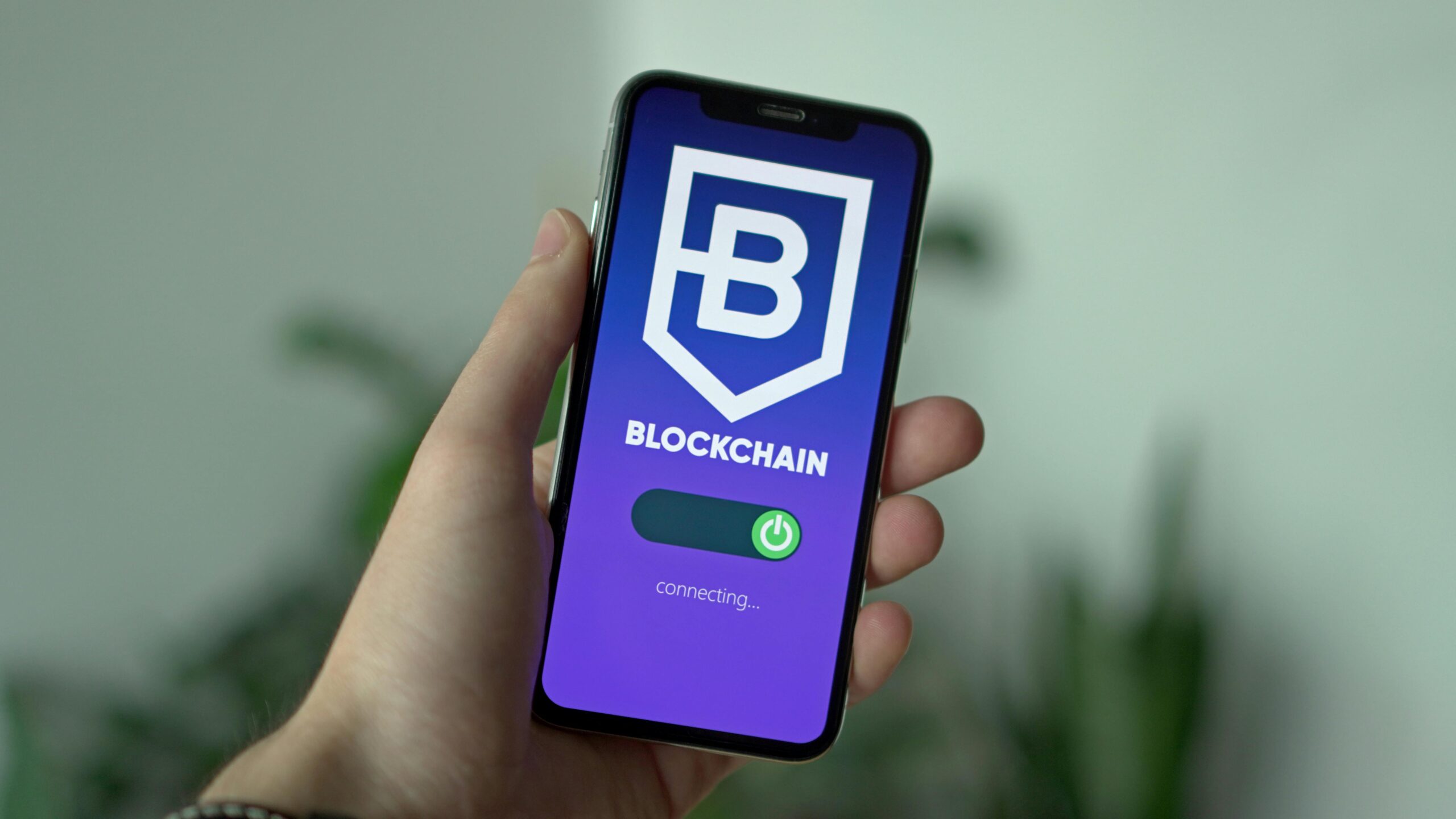 defi wallet scams